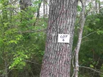 Lot 4 Lake Point Drive Calico Rock, AR 72519 - Image 1872955