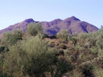 39400 N Ridgeway Rd 1 Cave Creek, AZ 85331 - Image 1895819