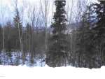 L9 B3 Stonehill Eagle River, AK 99577 - Image 1913002