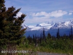 35436 Alpine Meadow Drive Homer, AK 99603 - Image 1913713