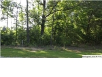 4 TOE RIVER LN LOT4 Cropwell, AL 35054 - Image 1916510