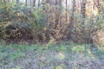 Lot 36 Althea Loop Alexander City, AL 35010 - Image 1916836