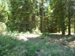 40541 Wild Rose Ln Shaver Lake, CA 93664 - Image 1916846