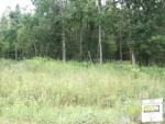 LOT 4 BLK C WINDING RIDGE Bono, AR 72416 - Image 1918529