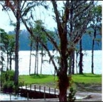 Lot 6 Jackson Shores - Waterfront Florala, AL 36442 - Image 1920510