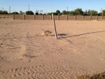 2937 W 2 PL Yuma, AZ 85364 - Image 1923077