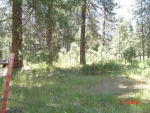 6772 BUCKS LAKE ROAD Meadow Valley, CA 95956 - Image 1924353