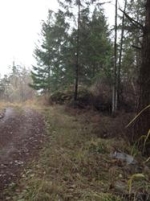 Nhn Lot 8 Fallingreen Estates (Apn# Friday Harbor, WA 98250 - Image 1926200