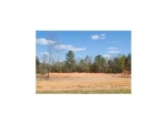 Lot 13 County Road 539 Enterprise, AL 36330 - Image 1927262