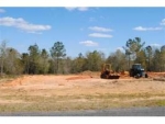 Lot 14 County Road 539 Enterprise, AL 36330 - Image 1927263