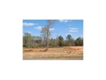 Lot 15 County Road 539 Enterprise, AL 36330 - Image 1927264