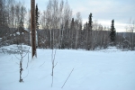 2120 Charlijo Loop Fairbanks, AK 99709 - Image 1927979