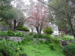 622 Eastwood Way Mill Valley, CA 94941 - Image 1930379