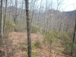 Lot330 Greyrock Subdivision Lake Lure, NC 28746 - Image 1933544