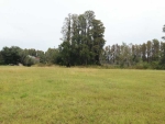 21143 SKI WAY Land O Lakes, FL 34638 - Image 1934652