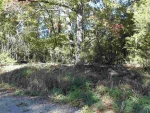 Lot 58 Dry Run Road Oakland, AR 72661 - Image 1946222