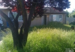 160 Easter Ct Vallejo, CA 94589 - Image 1958006