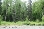 10480 E Snowgoose Circle Wasilla, AK 99654 - Image 1960859