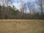 Lot 5 Ryan Creek Road Cullman, AL 35055 - Image 1972764