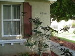 4200 NE 9 ST # 4200 Homestead, FL 33033 - Image 1994607