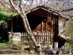 49 S Serpentine Hot Springs, NC 28743 - Image 1996480