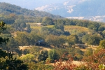 5399 mill creek Rd Ukiah, CA 95482 - Image 2003188