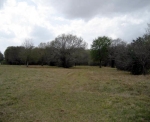 2007 EAGLE NEST ACRES DR Wallis, TX 77485 - Image 2005791