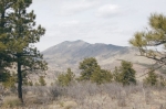 TBD Front Range Buffalo (Tract 7) Lyons, CO 80540 - Image 2007212