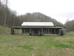 107 Toney Hollow Ln Pleasant Shade, TN 37145 - Image 2010180