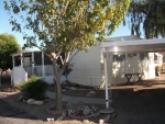 4100 N. Romero Rd., #82 Tucson, AZ 85705 - Image 2012039