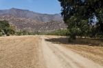 1215 Grand Avenue Ojai, CA 93023 - Image 2014062