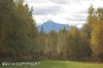 Lot 3 N Britchenstrap Drive Palmer, AK 99645 - Image 2014027