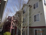 13000 Admiralty Way   Unit K-306 Everett, WA 98204 - Image 2014561