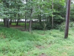 LOT 9ABC BLOCK A-3 Pocono Lake, PA 18347 - Image 2014942