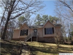 8750 Old Tennessee Pike Rd Pinson, AL 35126 - Image 2016113