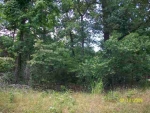 Lot 30 Rivercliff Drive Bull Shoals, AR 72619 - Image 2016398