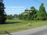 365 Lakeshore Rd Bull Shoals, AR 72619 - Image 2016397