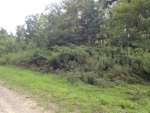 2.90 AC White Oak Road Crawford, TN 38554 - Image 2018241