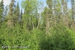 3367 W Coghlan Circle Wasilla, AK 99654 - Image 2019235