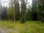 22820 W Diamond Circle Big Lake, AK 99652 - Image 2020201