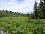 175 Meadow Court Homer, AK 99603 - Image 2021132