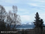 1950 E End Road Homer, AK 99603 - Image 2033233