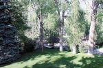 337 Lake Avenue Aspen, CO 81611 - Image 2039546