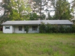 1103 Dick Skinner Rd Corrigan, TX 75939 - Image 2045658