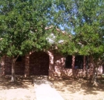 3811 Ebony Ave Laredo, TX 78046 - Image 2045786