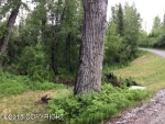 7060 N Sitze Road Wasilla, AK 99654 - Image 2046160