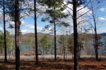 Lot 21 Cliffs At Keowee Falls (Tms# Salem, SC 29676 - Image 2078470