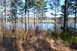 150 Bright Water Trl (Apn# 4141-00- Six Mile, SC 29682 - Image 2078584