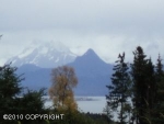 L4 B2 Forest Glen Drive Homer, AK 99603 - Image 2080368