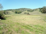 300 Olive Ave Novato, CA 94945 - Image 2080769